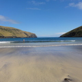 DSC00510